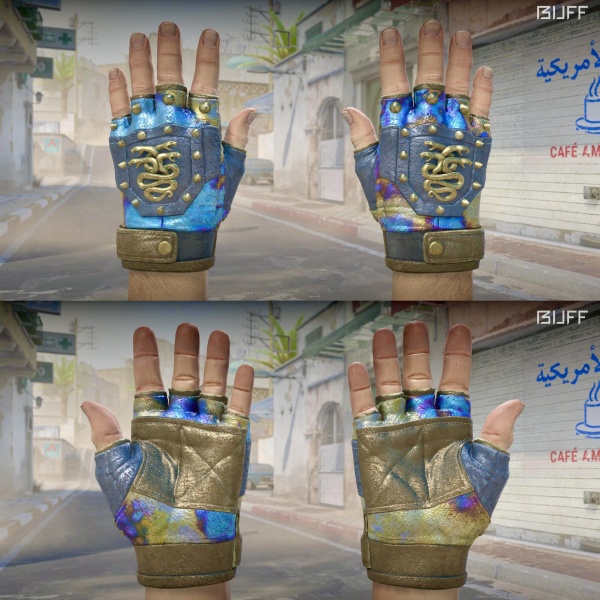 Rifa N. 1123 - 🧤Hydra Gloves | Case Hardened FT