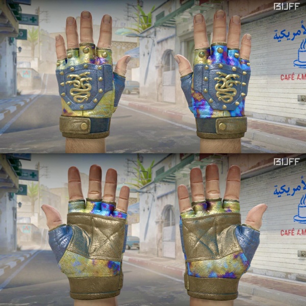 Rifa N. 1163 - 🧤Hydra Gloves | Case Hardened FT