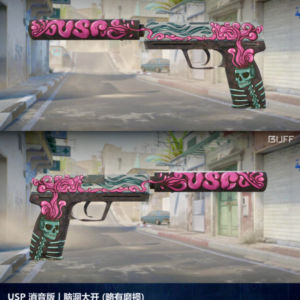 Rifa N. 069 - 🩷USP-S | Córtex MW 